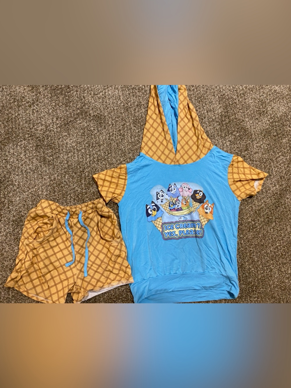 Kids Bamboo French terry hooded shirt and shorts GUC